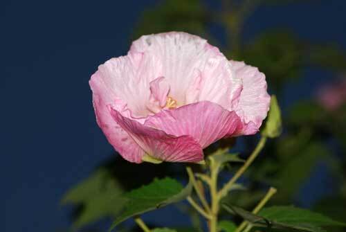 09201810wb.jpg