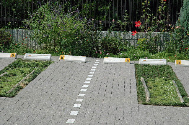 20050819wb.jpg