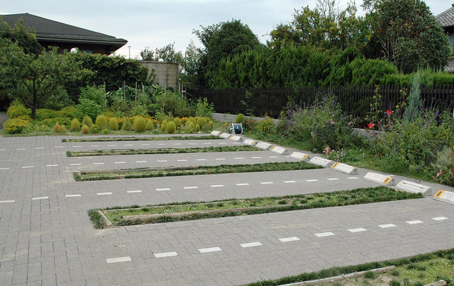 20050828wb.jpg