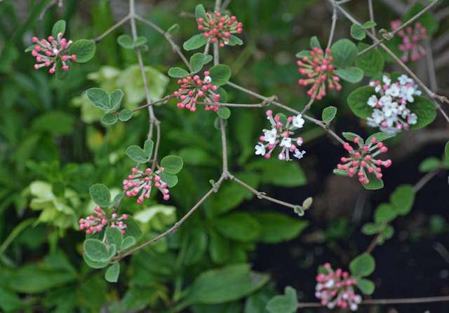 20140401-3wb.jpg