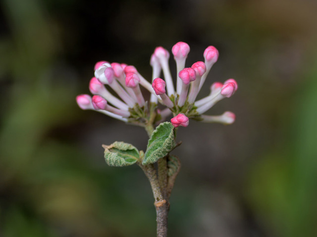 20140403-3wb.jpg