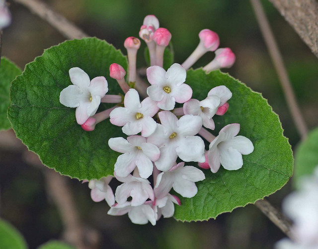 20140403-5.wb.jpg