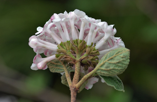 20140403-7wb.jpg