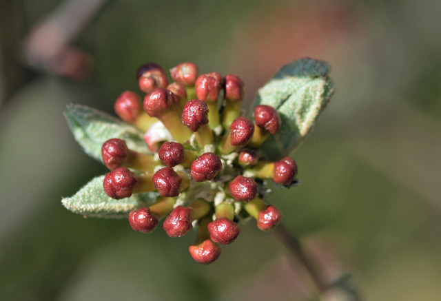 20160325-1wb.jpg