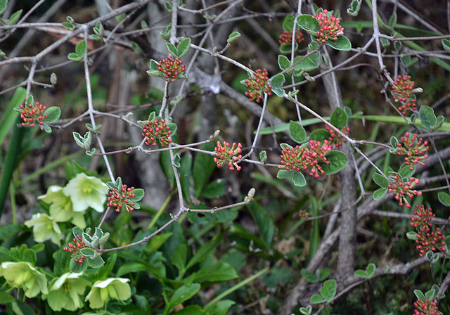 20160329-2wb.jpg