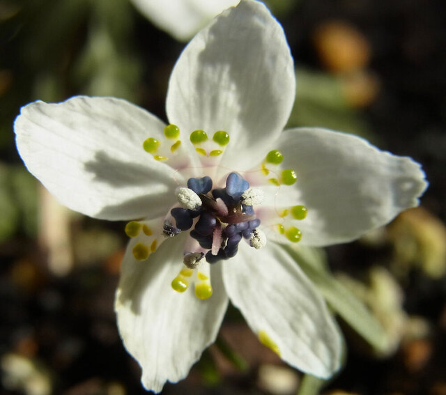 A2015-02-05-wb.jpg