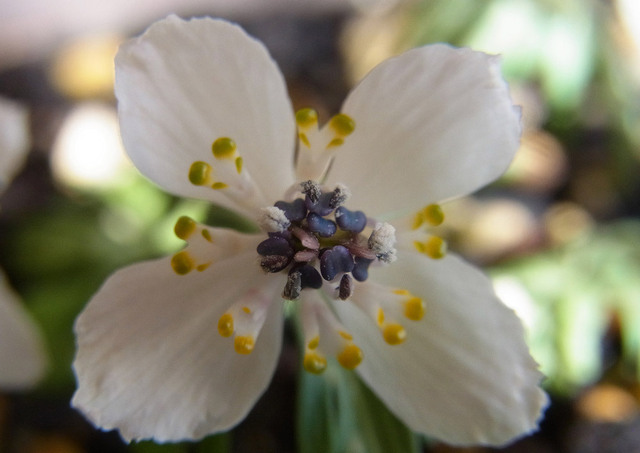 C2015-02-06-wb.jpg