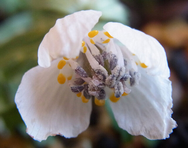 C2015-02-14-wb2.jpg