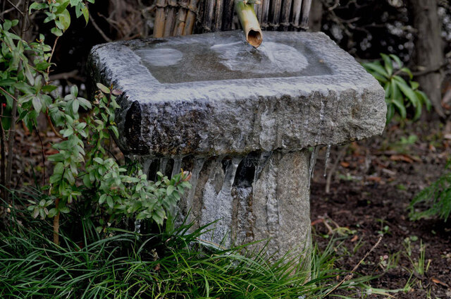 つくばい氷02061506wb.jpg