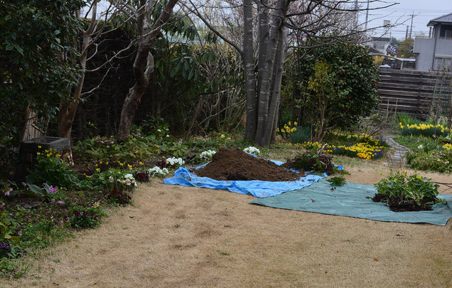 根回し2wb.jpg