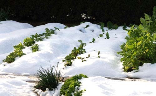 雪晴れ野菜畑wb.jpg
